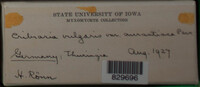 Image Associated With the Occurence